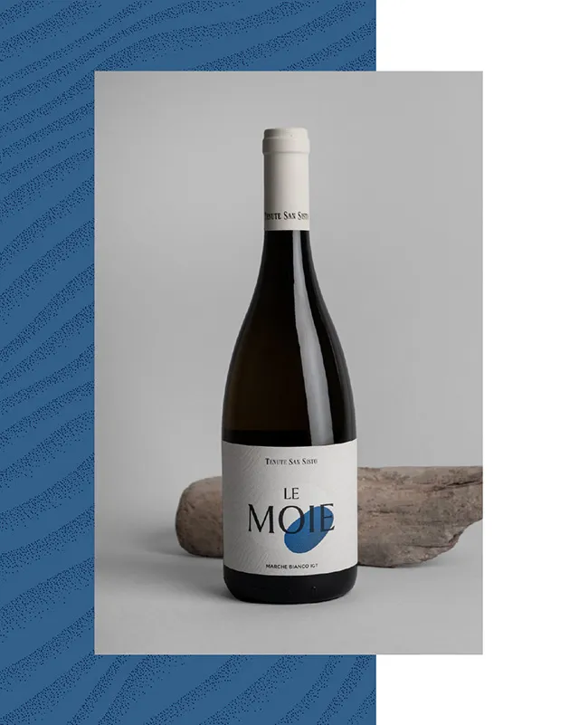 Design etichetta vino Le Moie Tenute San Sisto Marche Bianco IGT realizzato da Usopposto